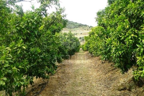 Farm i Vila Flor, Braganca, Vila Flor - € 1.250.000 | Ref: RE9991AG - foto 4
