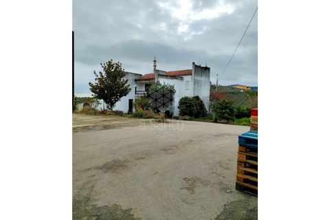 Farm i Vila Flor, Braganca, Vila Flor - € 1.250.000 | Ref: RE9991AG - foto 9