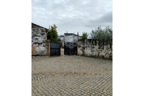 Farm i Vila Flor, Braganca, Vila Flor - € 1.250.000 | Ref: RE9991AG - foto 10