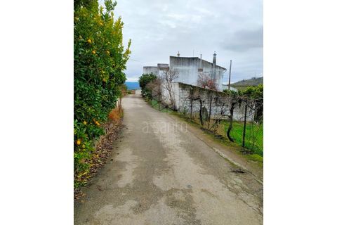 Farm i Vila Flor, Braganca, Vila Flor - € 1.250.000 | Ref: RE9991AG - foto 11