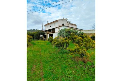 Farm i Vila Flor, Braganca, Vila Flor - € 1.250.000 | Ref: RE9991AG - foto 14