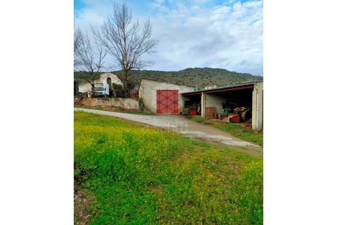Farm i Vila Flor, Braganca, Vila Flor - € 1.250.000 | Ref: RE9991AG - foto 15