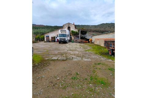 Farm i Vila Flor, Braganca, Vila Flor - € 1.250.000 | Ref: RE9991AG - foto 16