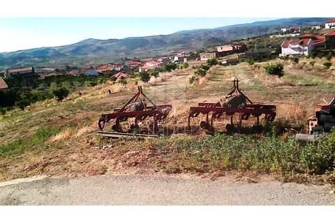 Farm i Vila Flor, Braganca, Vila Flor - € 1.250.000 | Ref: RE9991AG - foto 17