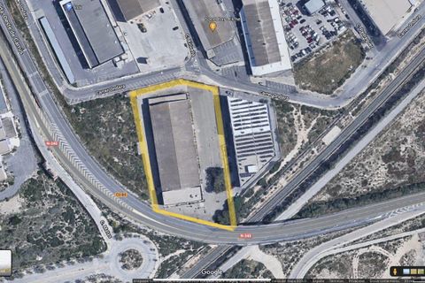 Helårsgrund i Elche, Alicante, Elche - € 4.500.000 | Ref: 406 - foto 3
