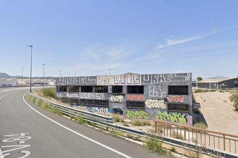 Helårsgrund i Elche, Alicante, Elche - € 4.500.000 | Ref: 406 - foto 5