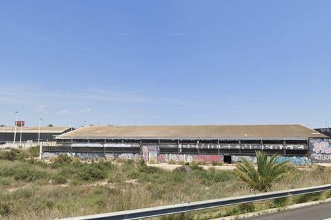 Helårsgrund i Elche, Alicante, Elche - € 4.500.000 | Ref: 406 - foto 6