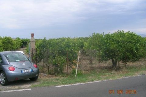 Helårsgrund i Centuripe, Enna, Centuripe - € 40.000 | Ref: 1674/a - foto 3