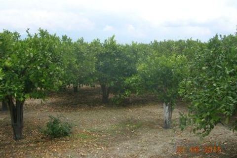 Helårsgrund i Centuripe, Enna, Centuripe - € 40.000 | Ref: 1674/a - foto 6