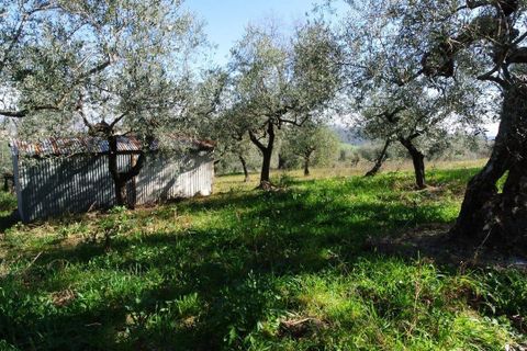 Landejendom i Moscufo, Pescara, Moscufo - € 21.000 | Ref: 3894873 - foto 4