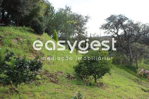 Helårsgrund i Odemira, Beja, Odemira - € 105.000 | Ref: BJ80646 - foto 7