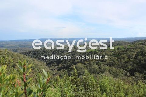 Helårsgrund i Odemira, Beja, Odemira - € 105.000 | Ref: BJ80646 - foto 17