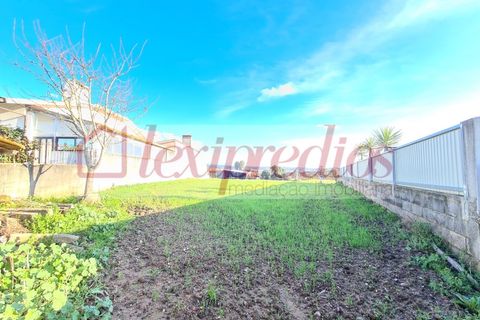 Helårsgrund i Agueda, Aveiro, Agueda - € 35.000 | Ref: AG 3614 - foto 2