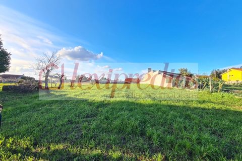 Helårsgrund i Agueda, Aveiro, Agueda - € 35.000 | Ref: AG 3614 - foto 3