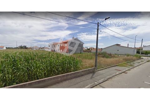 Helårsgrund i Aveiro, Aveiro, Aveiro - € 83.000 | Ref: 3456 - foto 13