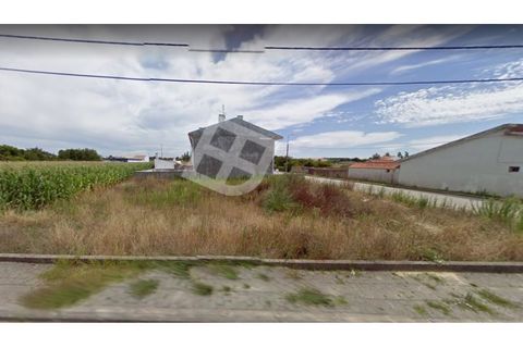 Helårsgrund i Aveiro, Aveiro, Aveiro - € 83.000 | Ref: 3456 - foto 14