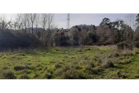 Helårsgrund i Arcos de Valdevez, Viana do Castelo, Arcos de Valdevez - € 25.000 | Ref: 126371005-8 - foto 8