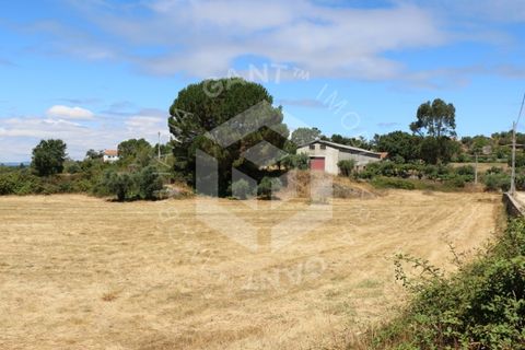 Terra a Azere e Covelo, Coimbra, Azere e Covelo - € 300.000 | Ref: GT-2995-T - foto 2