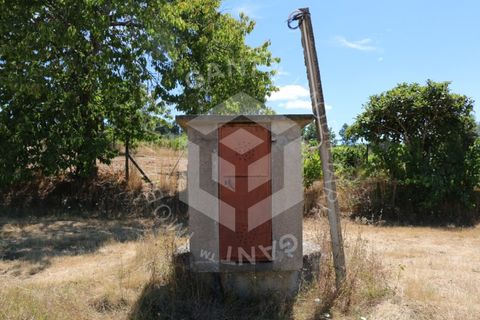 Terra a Azere e Covelo, Coimbra, Azere e Covelo - € 300.000 | Ref: GT-2995-T - foto 4