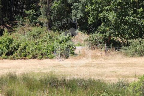 Terra a Azere e Covelo, Coimbra, Azere e Covelo - € 300.000 | Ref: GT-2995-T - foto 7