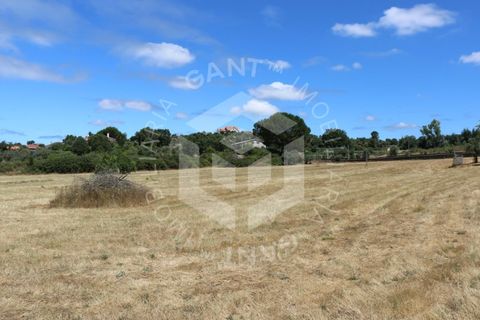 Terra a Azere e Covelo, Coimbra, Azere e Covelo - € 300.000 | Ref: GT-2995-T - foto 8