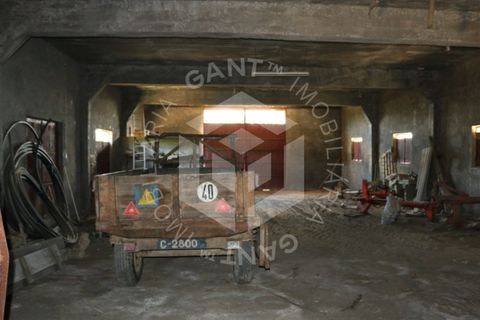 Terra a Azere e Covelo, Coimbra, Azere e Covelo - € 300.000 | Ref: GT-2995-T - foto 10