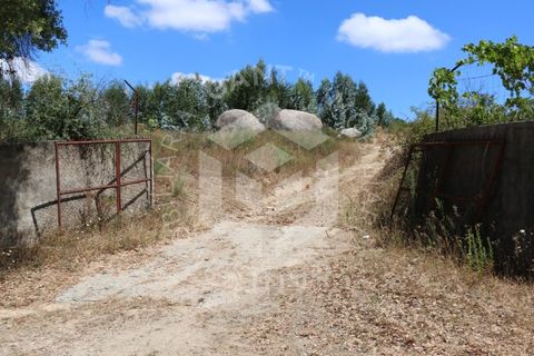 Terra a Azere e Covelo, Coimbra, Azere e Covelo - € 300.000 | Ref: GT-2995-T - foto 13