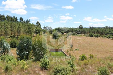 Terra a Azere e Covelo, Coimbra, Azere e Covelo - € 300.000 | Ref: GT-2995-T - foto 16