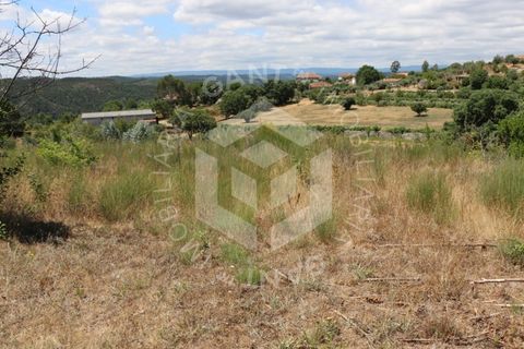 Terra a Azere e Covelo, Coimbra, Azere e Covelo - € 300.000 | Ref: GT-2995-T - foto 17