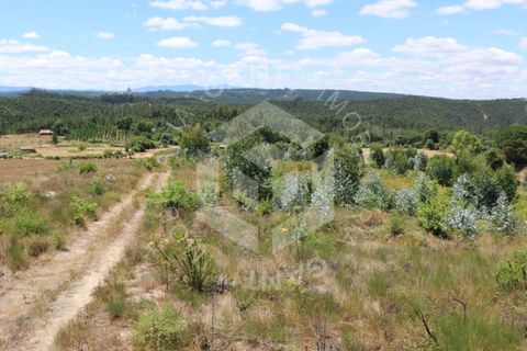 Terra a Azere e Covelo, Coimbra, Azere e Covelo - € 300.000 | Ref: GT-2995-T - foto 18