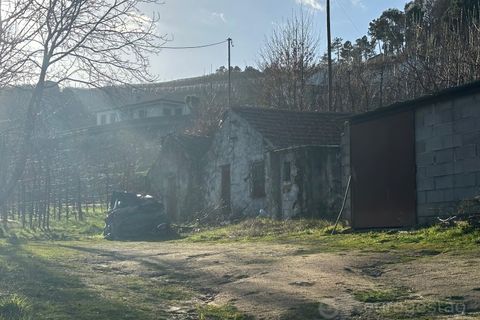 Terra a Cepoes, Viseu, Cepoes - € 80.000 | Ref: LMG_1399 - N - foto 2