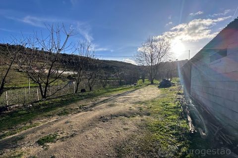 Terra a Cepoes, Viseu, Cepoes - € 80.000 | Ref: LMG_1399 - N - foto 3