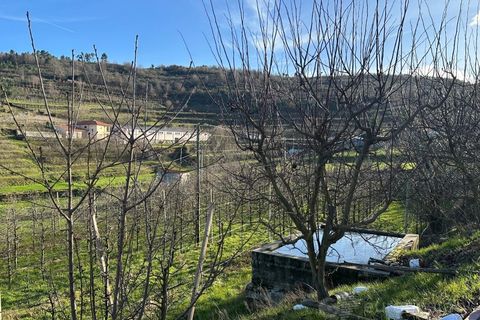 Terra a Cepoes, Viseu, Cepoes - € 80.000 | Ref: LMG_1399 - N - foto 4