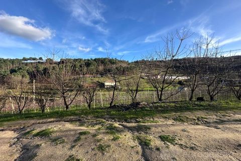 Terra a Cepoes, Viseu, Cepoes - € 80.000 | Ref: LMG_1399 - N - foto 5