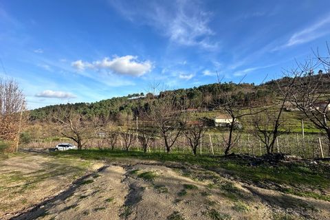 Terra a Cepoes, Viseu, Cepoes - € 80.000 | Ref: LMG_1399 - N - foto 6