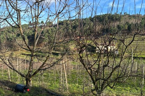 Terra a Cepoes, Viseu, Cepoes - € 80.000 | Ref: LMG_1399 - N - foto 7