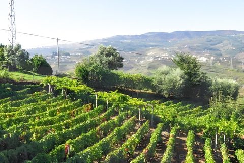 Villa i Lamego, Viseu, Lamego - € 130.000 | Ref: LMG_3180 - N - foto 8