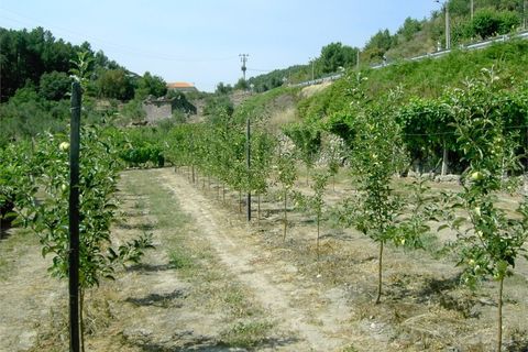Helårsgrund i Tarouca, Viseu, Tarouca - € 20.000 | Ref: LMG_2461 - N - foto 2