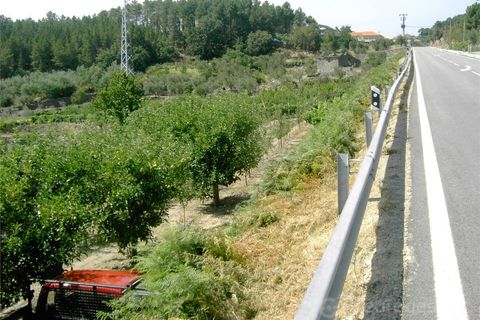 Helårsgrund i Tarouca, Viseu, Tarouca - € 20.000 | Ref: LMG_2461 - N - foto 3