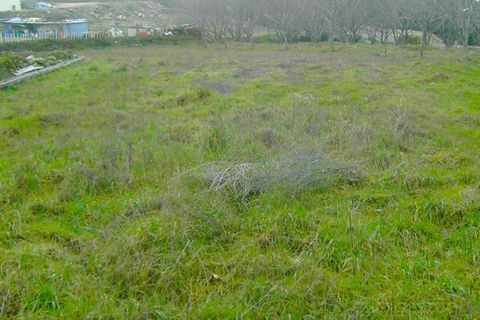 Terra a Moimenta da Beira, Viseu, Moimenta da Beira - € 20.000 | Ref: LMG_2341 - N - foto 2