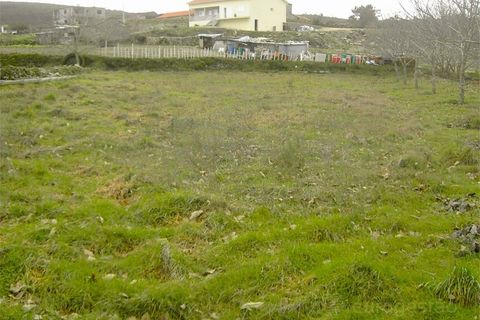 Terra a Moimenta da Beira, Viseu, Moimenta da Beira - € 20.000 | Ref: LMG_2341 - N - foto 3