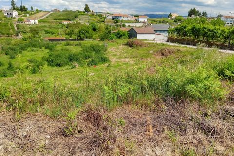 Terra a Cepoes, Viseu, Cepoes - € 75.000 | Ref: LMG_2328 - N - foto 2