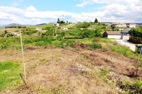Terra a Cepoes, Viseu, Cepoes - € 75.000 | Ref: LMG_2328 - N - foto 3