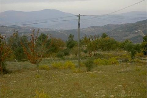 Tomt i Tarouca, Viseu, Tarouca - € 80 000 | Ref: LMG_1542 - N - foto 2