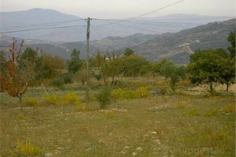 Tomt i Tarouca, Viseu, Tarouca - € 80 000 | Ref: LMG_1542 - N - foto 3
