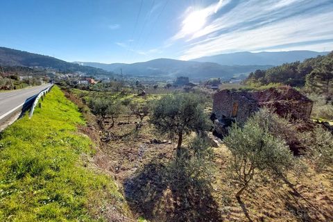 Farm i Tarouca, Viseu, Tarouca - € 45.000 | Ref: LMG_2459 - N - foto 2