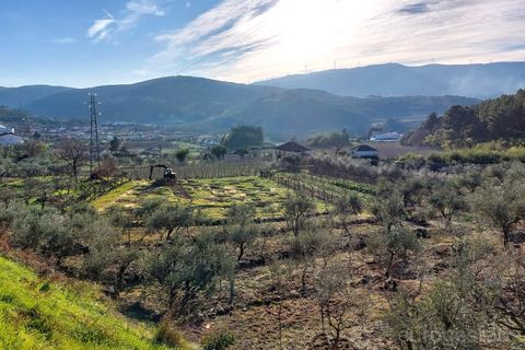 Farm i Tarouca, Viseu, Tarouca - € 45.000 | Ref: LMG_2459 - N - foto 3