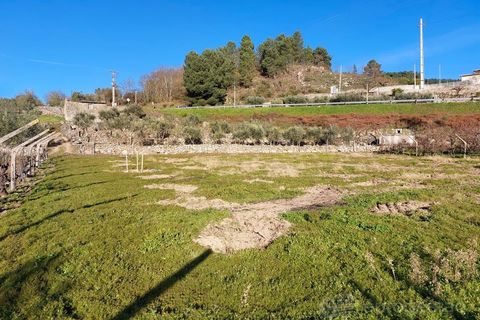 Farm i Tarouca, Viseu, Tarouca - € 45.000 | Ref: LMG_2459 - N - foto 4