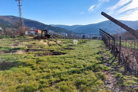 Farm i Tarouca, Viseu, Tarouca - € 45.000 | Ref: LMG_2459 - N - foto 5