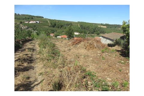 Helårsgrund i Viseu, Viseu, Viseu - € 35.000 | Ref: LMG_3244 - N - foto 2